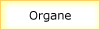 Organe