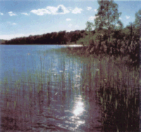 ein  See